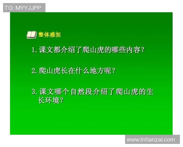 小学语文课文中的足球明星们与他们的奋斗故事